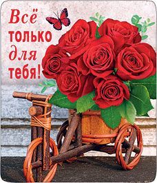 Магнит виниловый «Все только для тебя» Магнит виниловый «Все только для тебя»